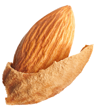 Almond image