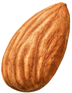 Almond