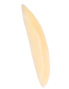 Slivered Almond