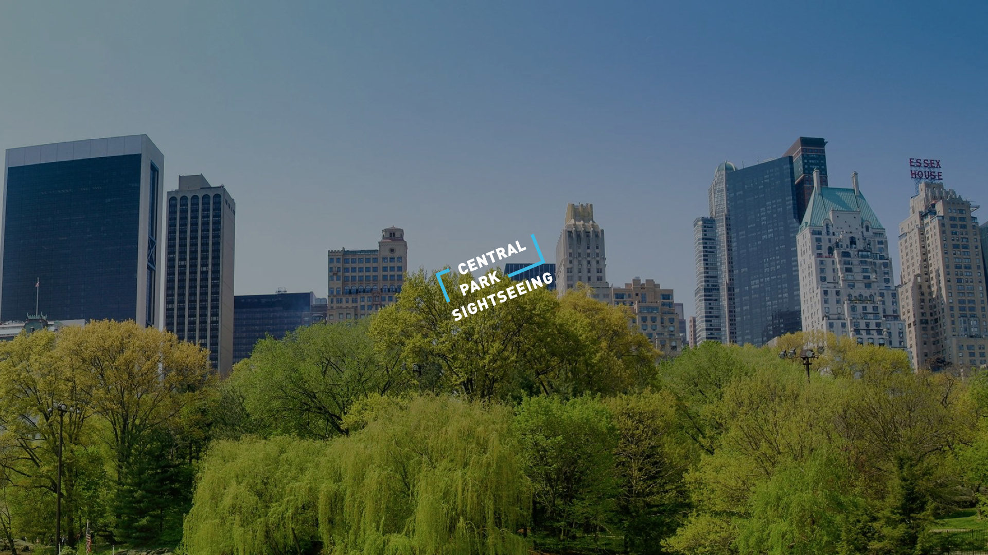 Central Park Sightseeing Website Design and Development