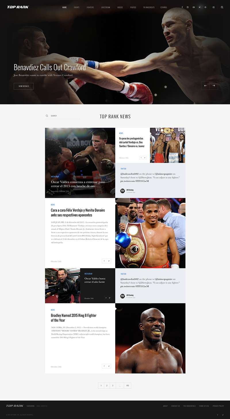 Top Rank's Inner Pages Design & Development