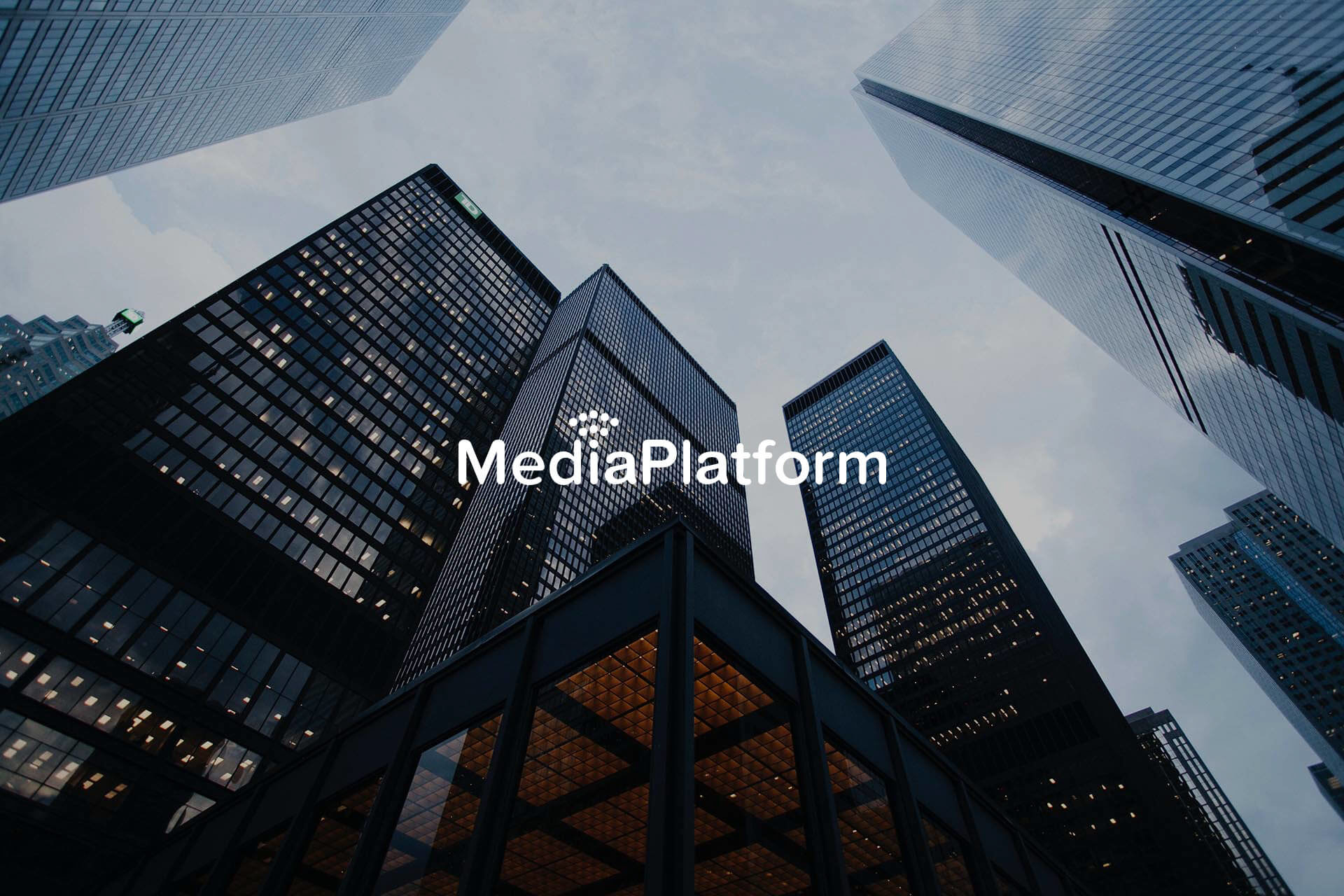 MediaPlatform Website Design and Development