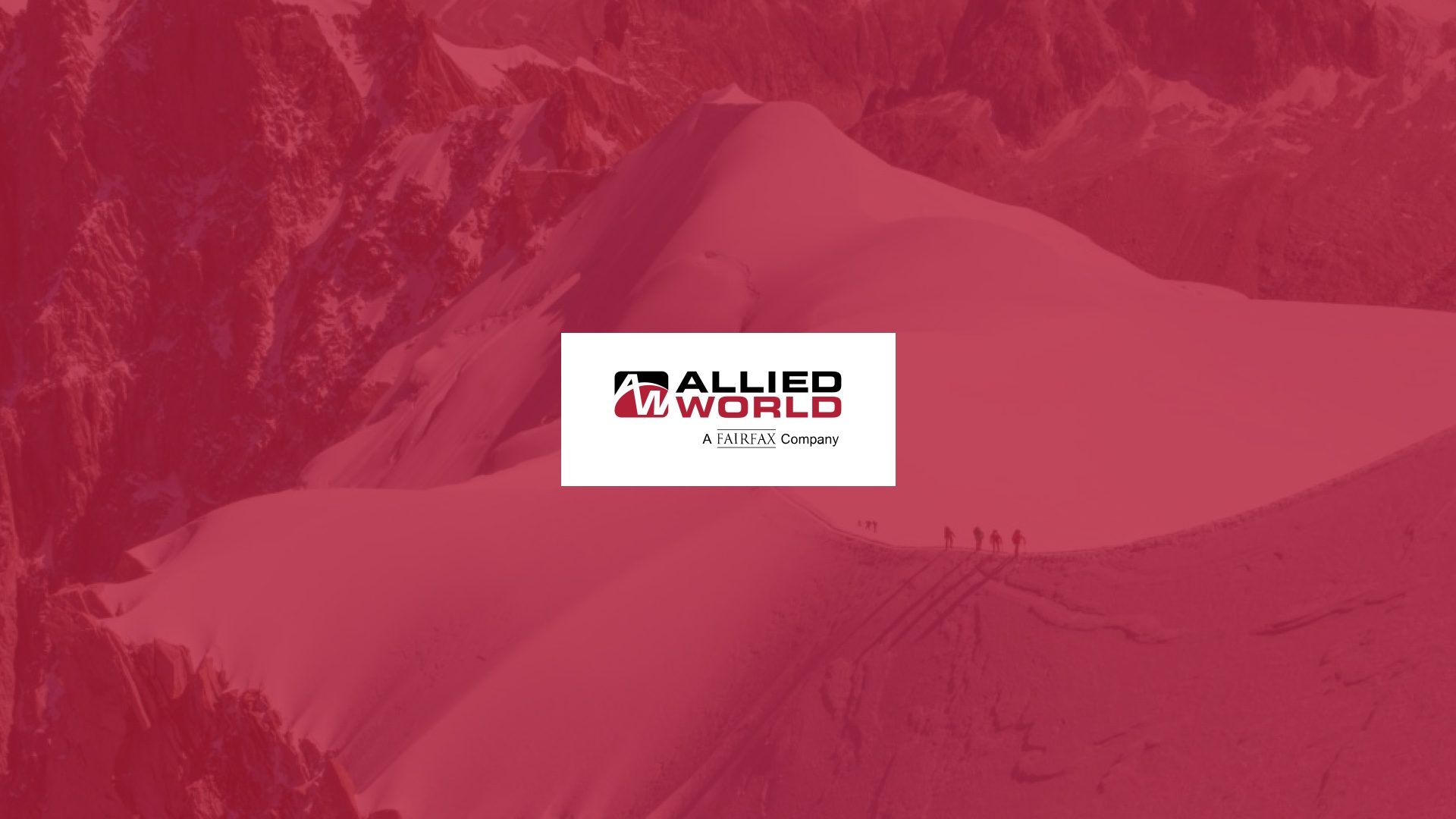 Allied World Website Design and Development