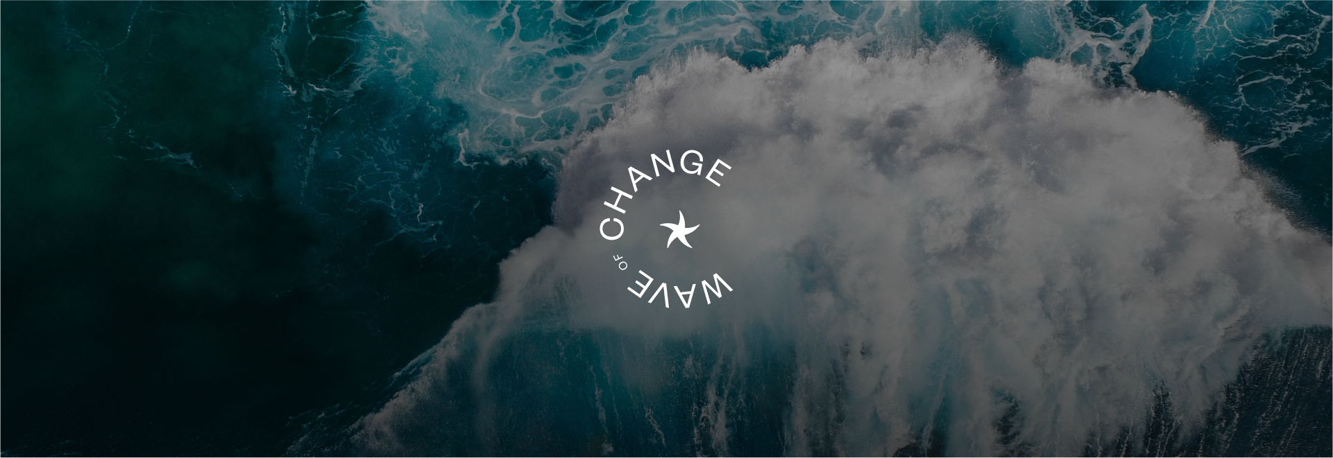 Wave of Change Website Design and Development