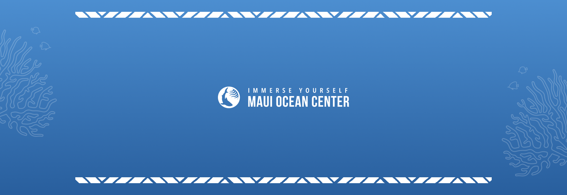 Maui Ocean Center Website Design and Development