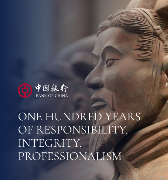 Bank of China Website Design and Development