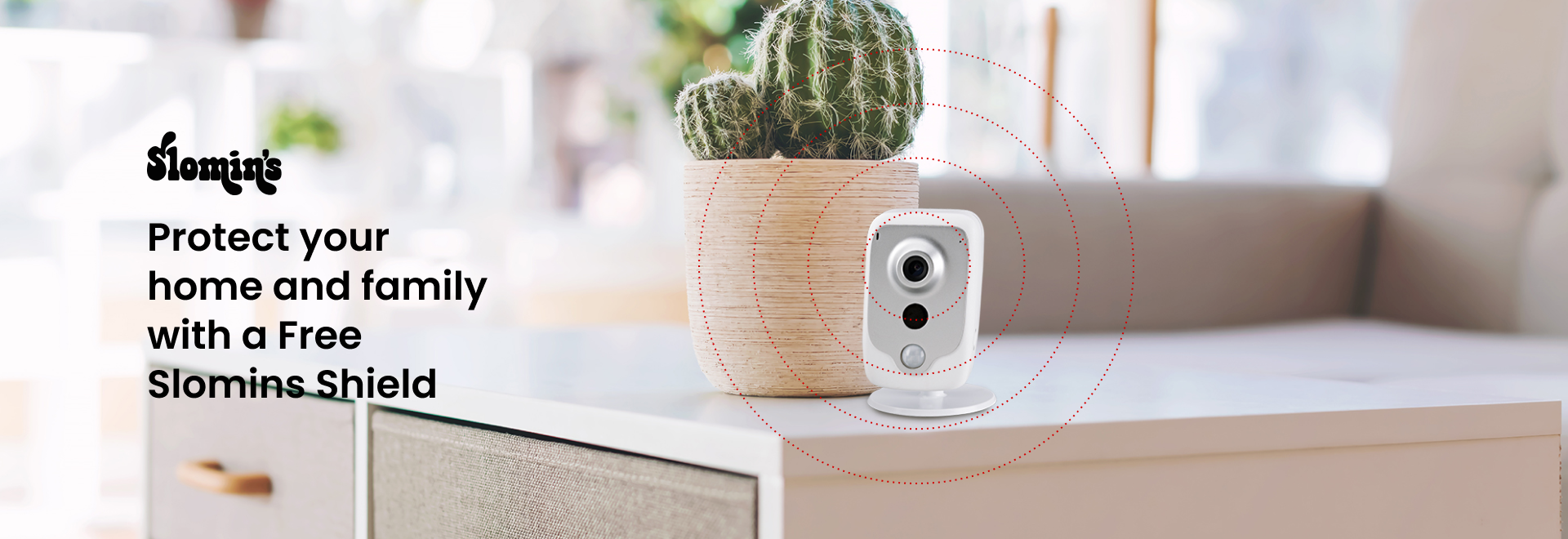 Slomin's Website Design and Development