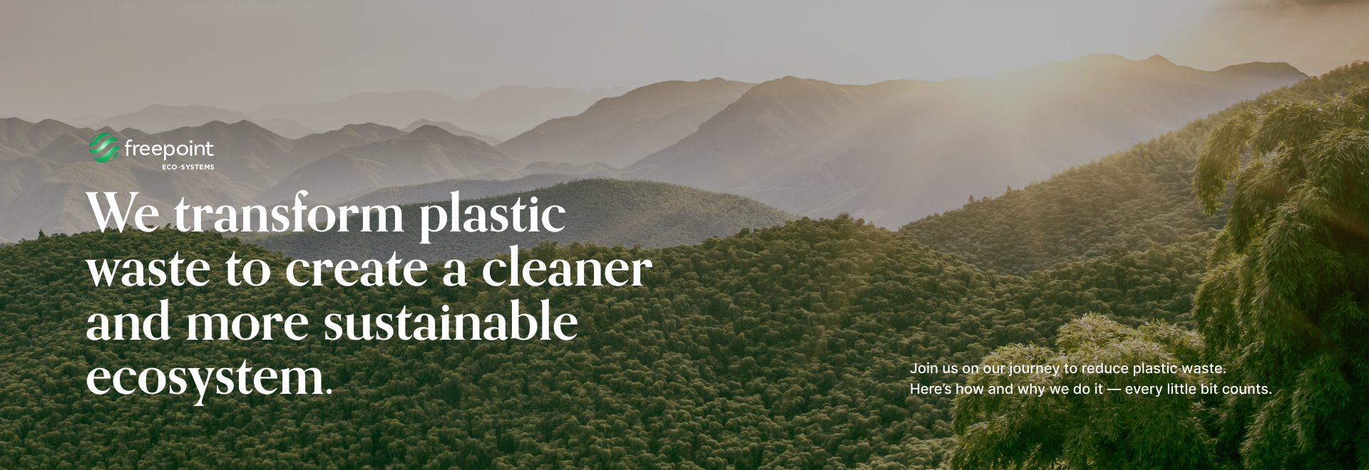 freepoint website design and development